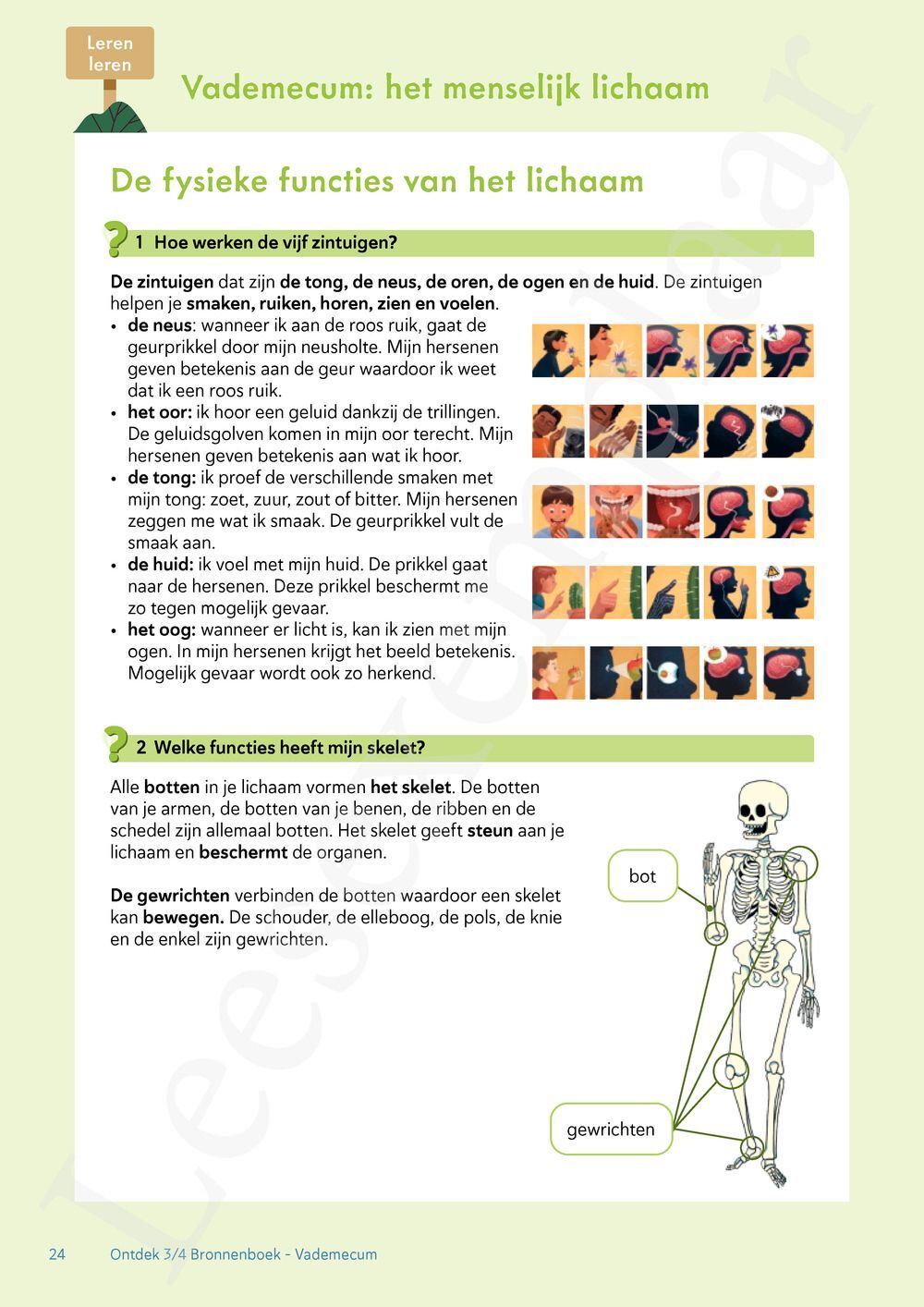 Preview: Ontdek 3 wetenschappen en techniek Werkboek
