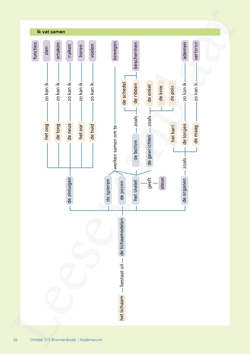Preview: Ontdek 3 wetenschappen en techniek Werkboek