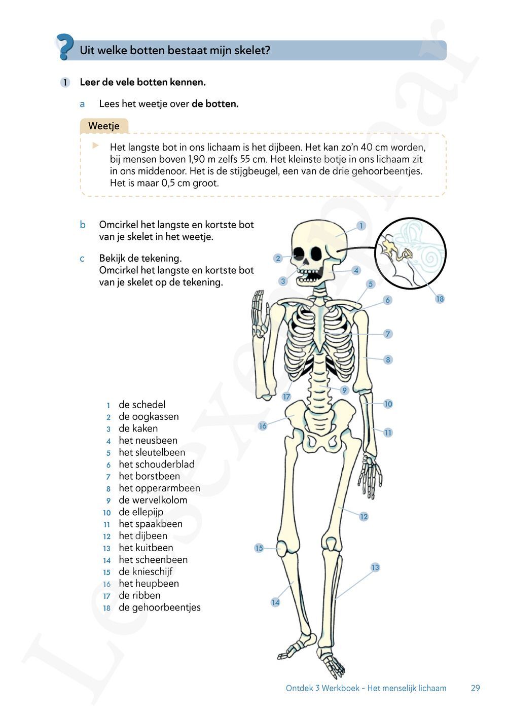 Preview: Ontdek 3 wetenschappen en techniek Werkboek