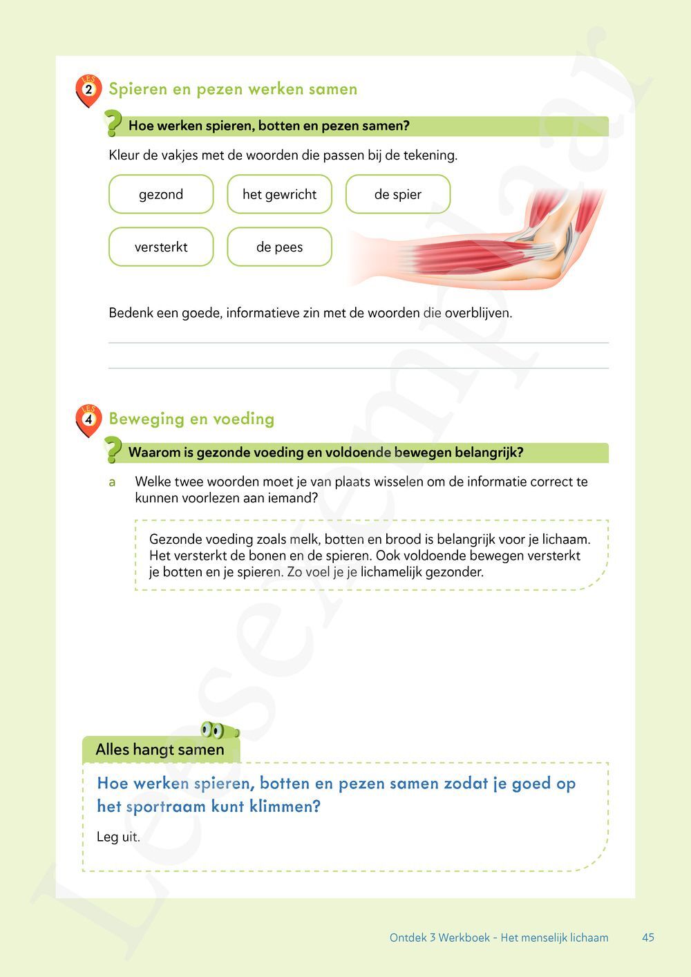 Preview: Ontdek 3 wetenschappen en techniek Werkboek