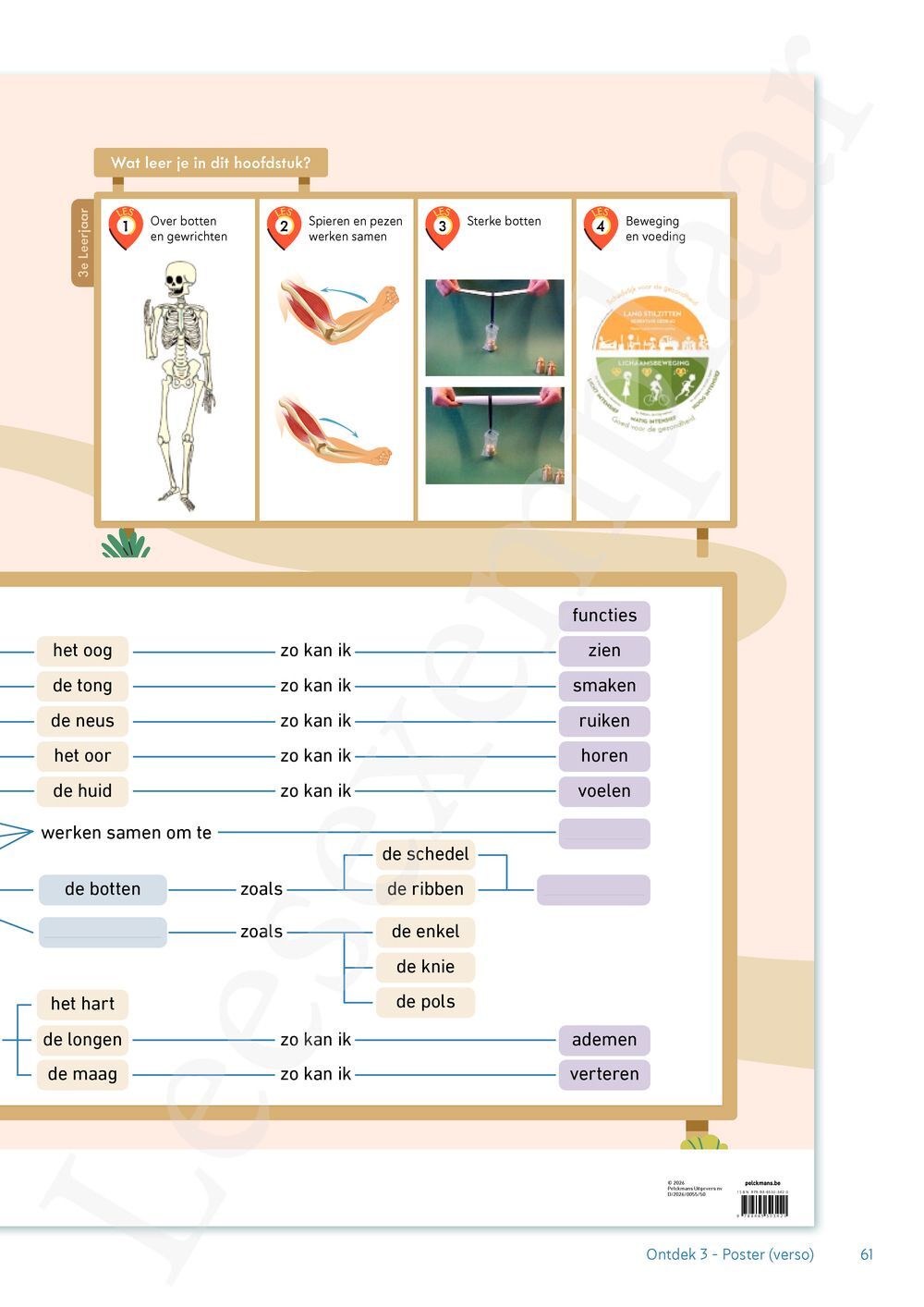 Preview: Ontdek 3 wetenschappen en techniek Werkboek