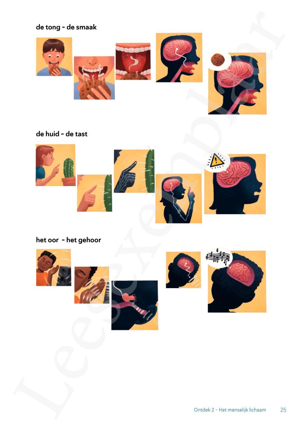 Preview: Ontdek 2 wetenschappen en techniek Leerwerkboek