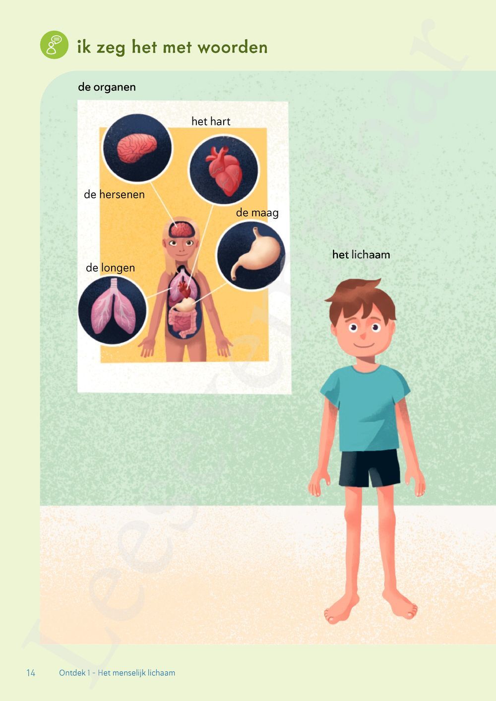 Preview: Ontdek 1 wetenschappen en techniek Leerwerkboek