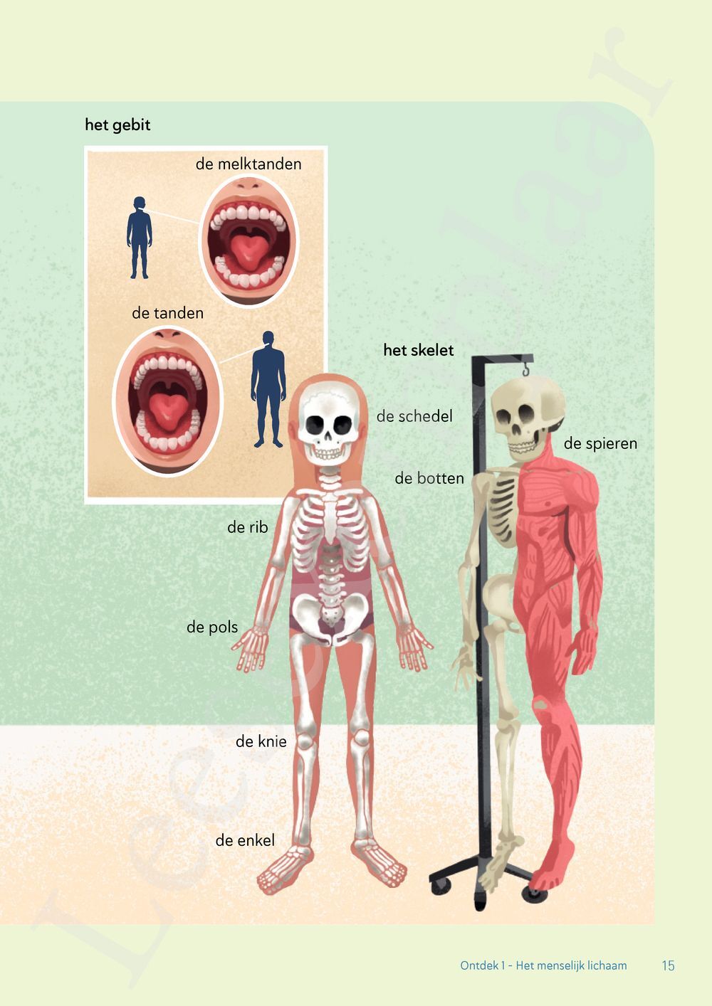Preview: Ontdek 1 wetenschappen en techniek Leerwerkboek