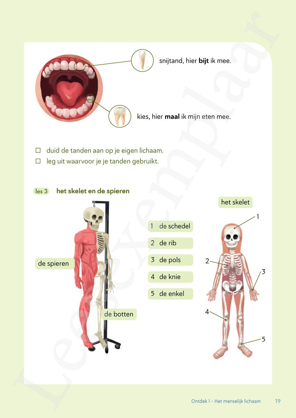 Preview: Ontdek 1 wetenschappen en techniek Leerwerkboek