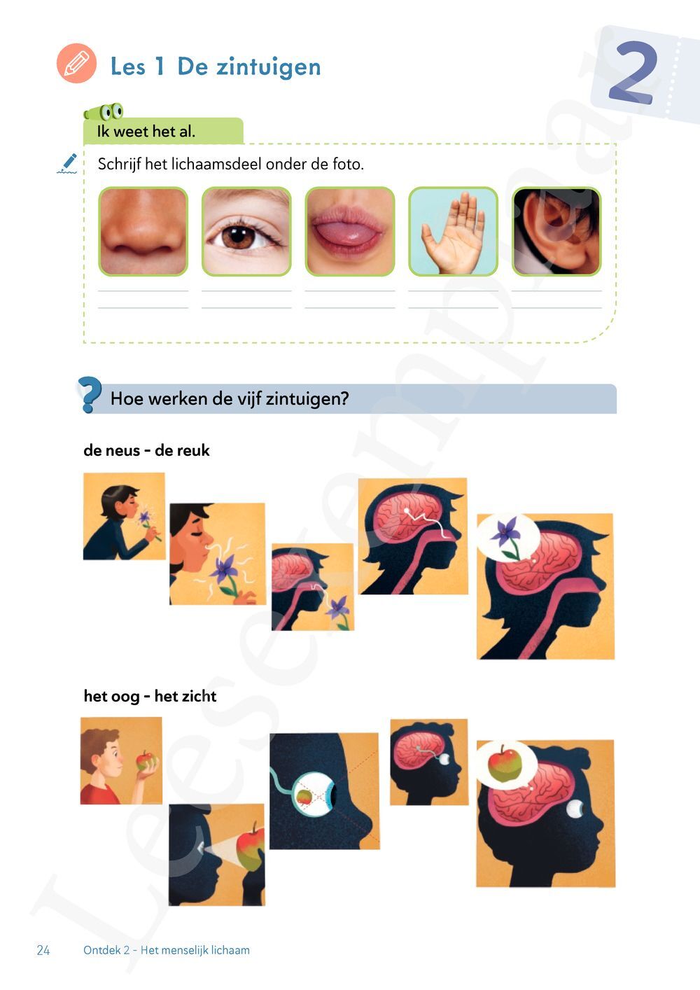 Preview: Ontdek 1 wetenschappen en techniek Leerwerkboek