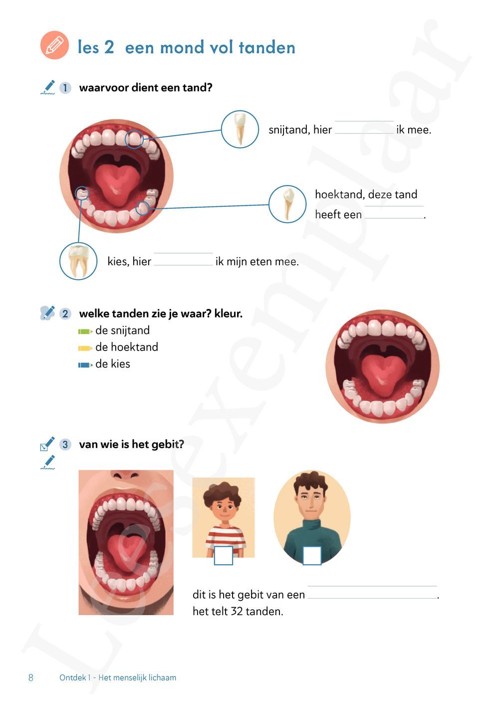 Preview: Ontdek 1 wetenschappen en techniek Leerwerkboek