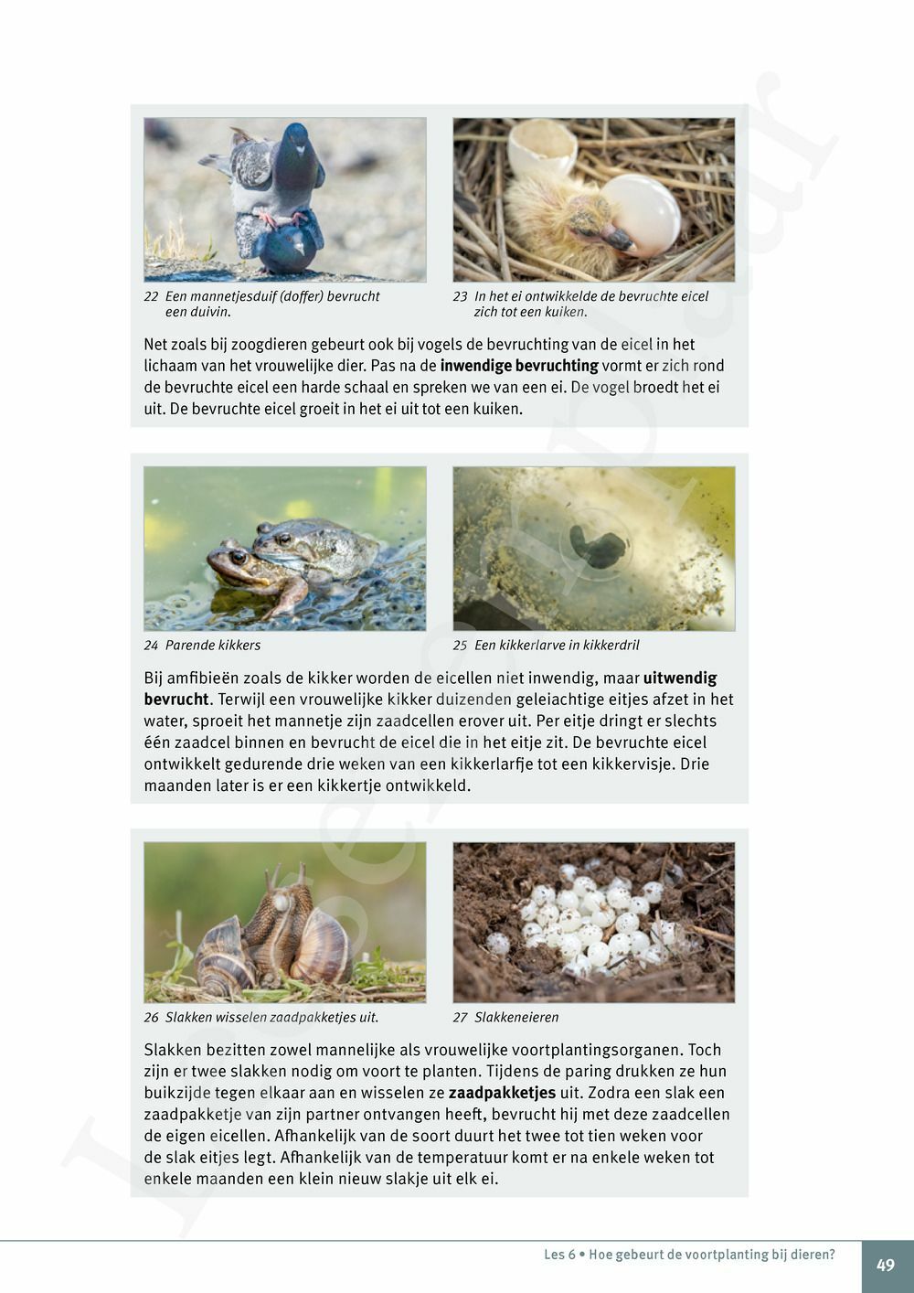 Preview: Explo 2 Leerwerkboek (editie 2025) (incl. Pelckmans Portaal)