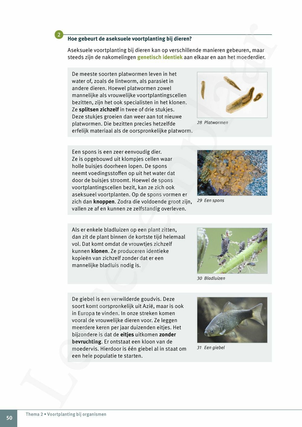 Preview: Explo 2 Leerwerkboek (editie 2025) (incl. Pelckmans Portaal)