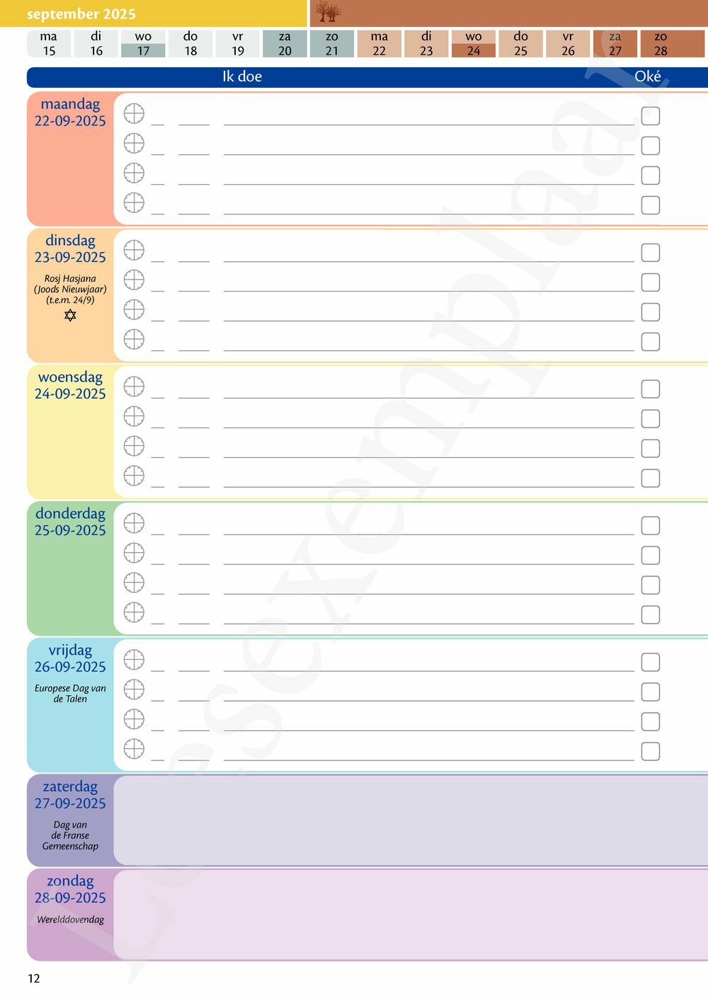 Preview: LeerWijzer 5de leerjaar 2025-2026