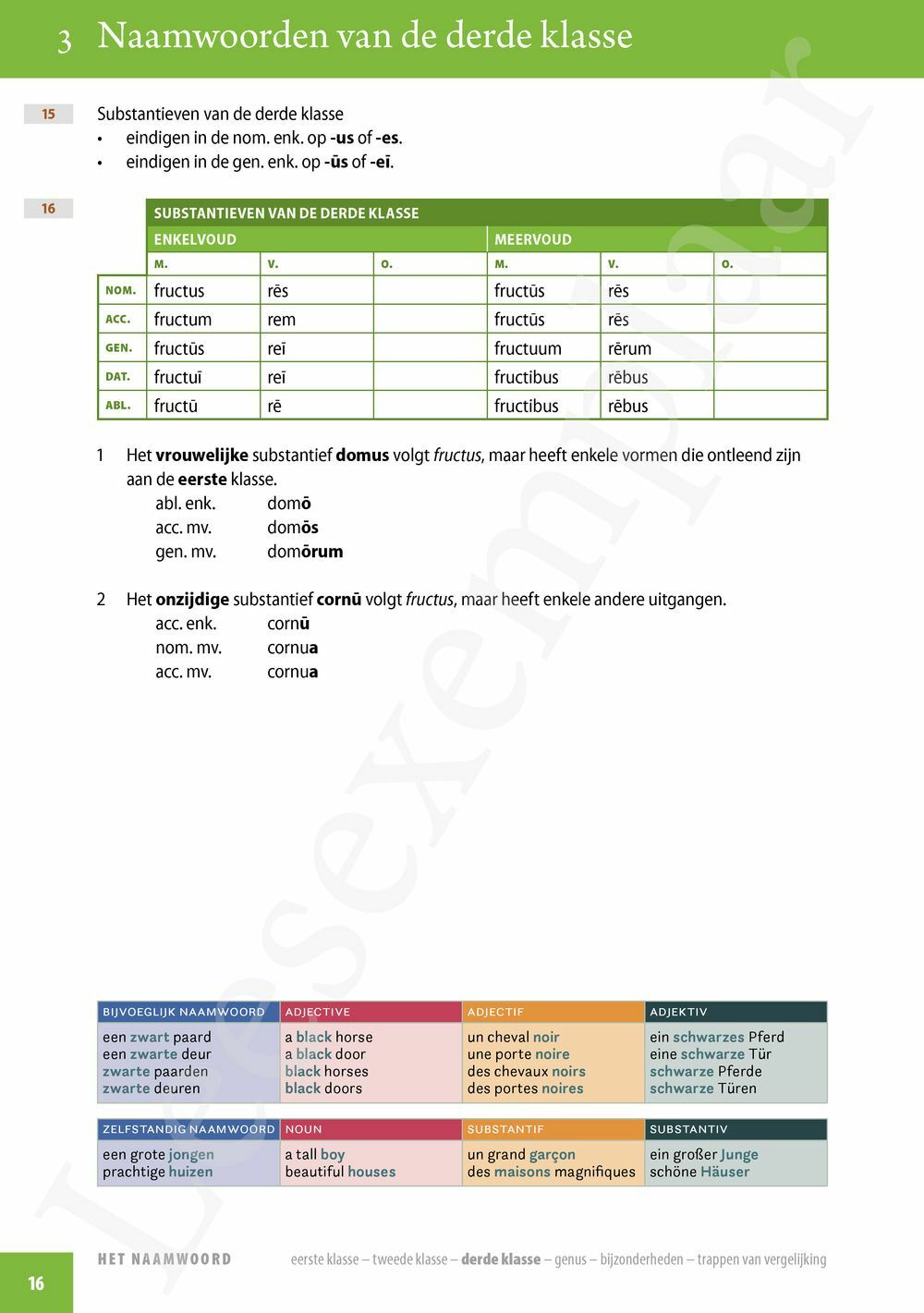 Preview: Pegasus novus Grammatica (incl. Pelckmans Portaal)