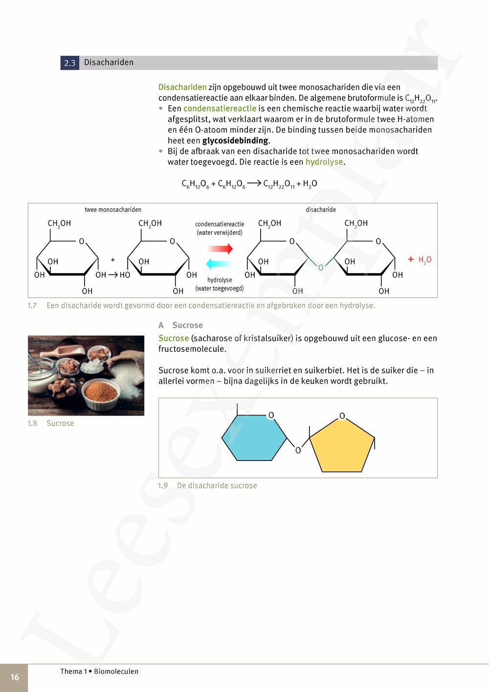 Preview: Focus Natuurwetenschappen 5 Leerwerkboek (incl. Pelckmans Portaal)