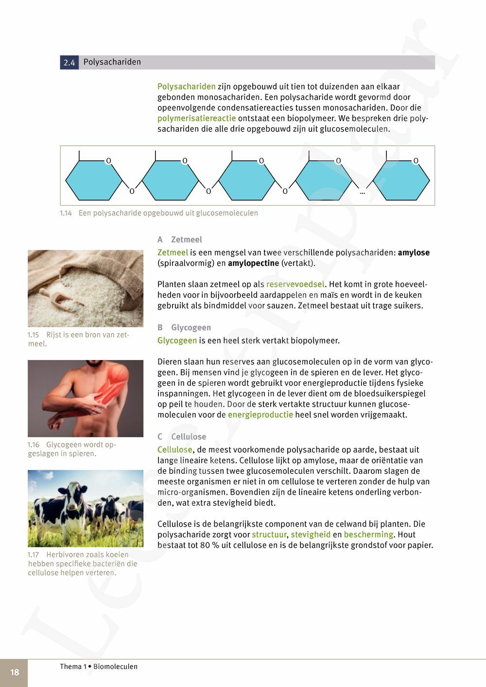 Preview: Focus Natuurwetenschappen 5 Leerwerkboek (incl. Pelckmans Portaal)