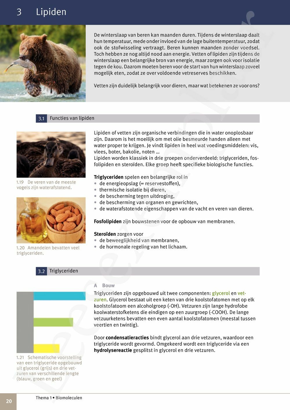 Preview: Focus Natuurwetenschappen 5 Leerwerkboek (incl. Pelckmans Portaal)