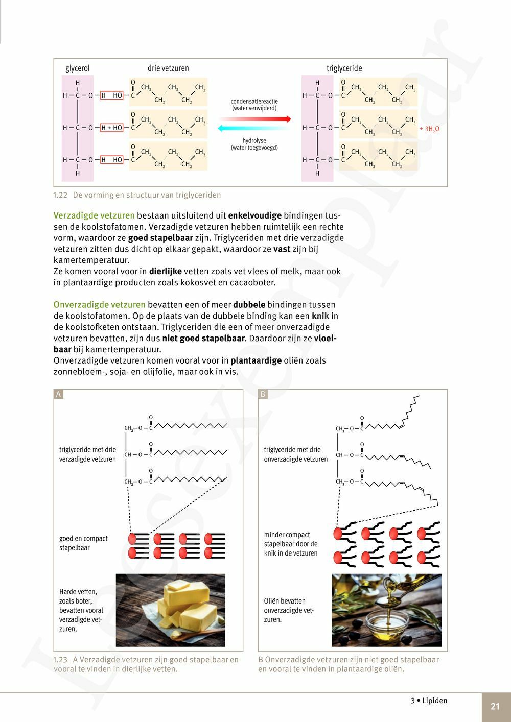 Preview: Focus Natuurwetenschappen 5 Leerwerkboek (incl. Pelckmans Portaal)