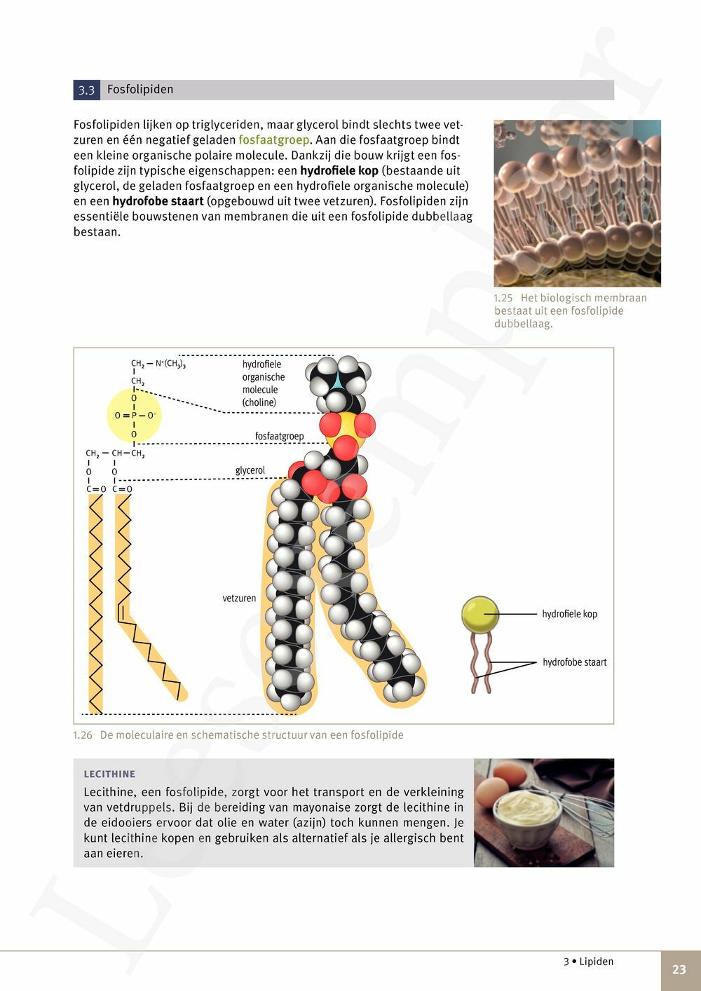 Preview: Focus Natuurwetenschappen 5 Leerwerkboek (incl. Pelckmans Portaal)