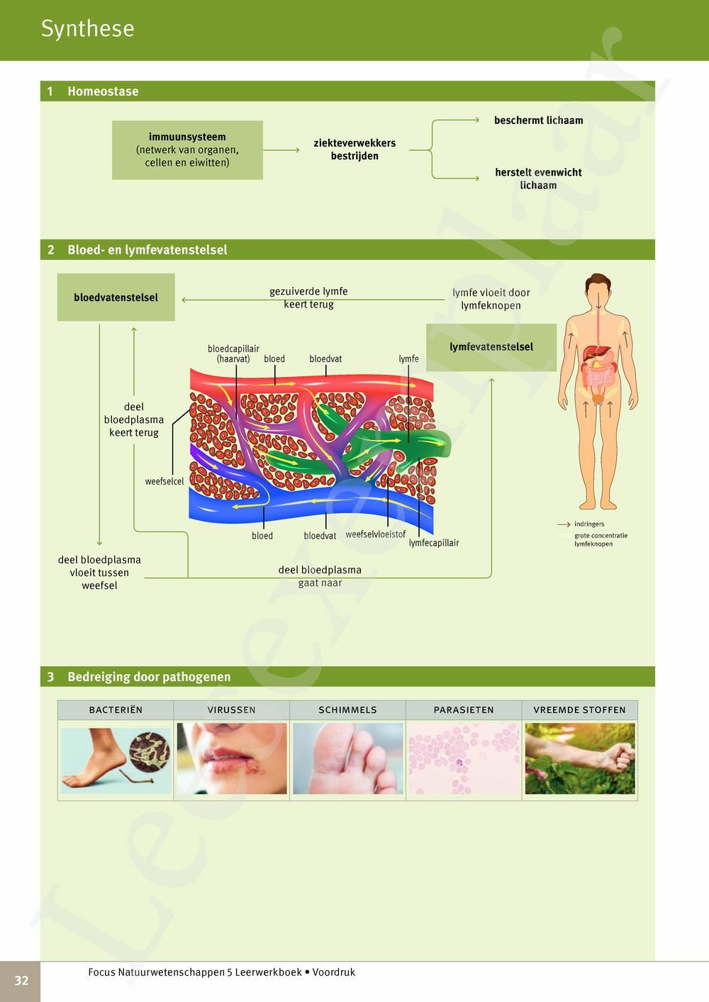 Preview: Focus Natuurwetenschappen 5 Leerwerkboek (incl. Pelckmans Portaal)