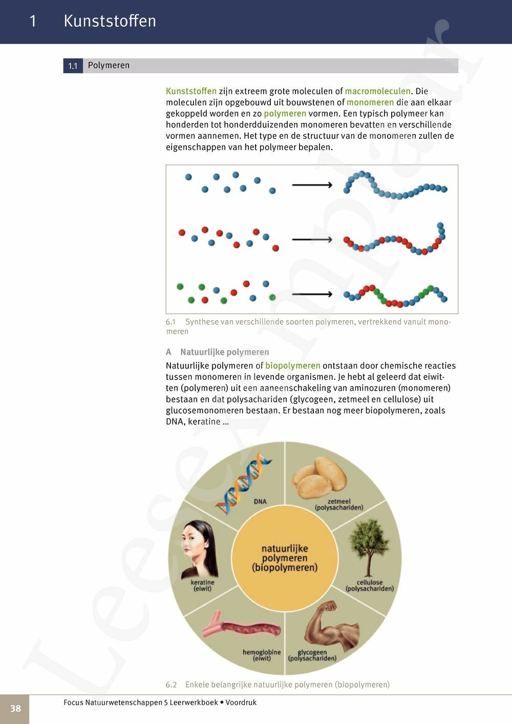 Preview: Focus Natuurwetenschappen 5 Leerwerkboek (incl. Pelckmans Portaal)