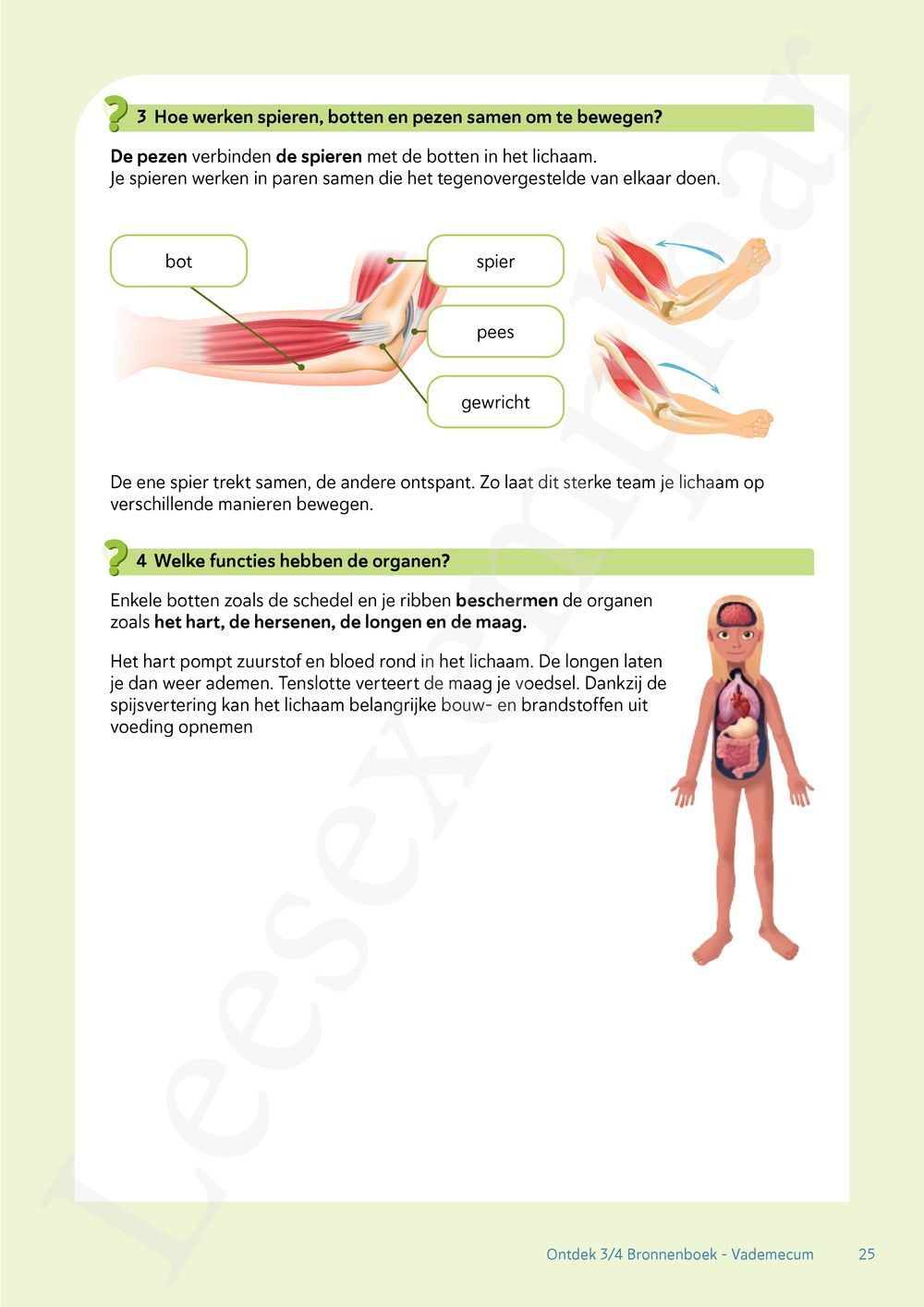 Preview: Ontdek tweede graad wetenschappen en techniek Bronnenboek