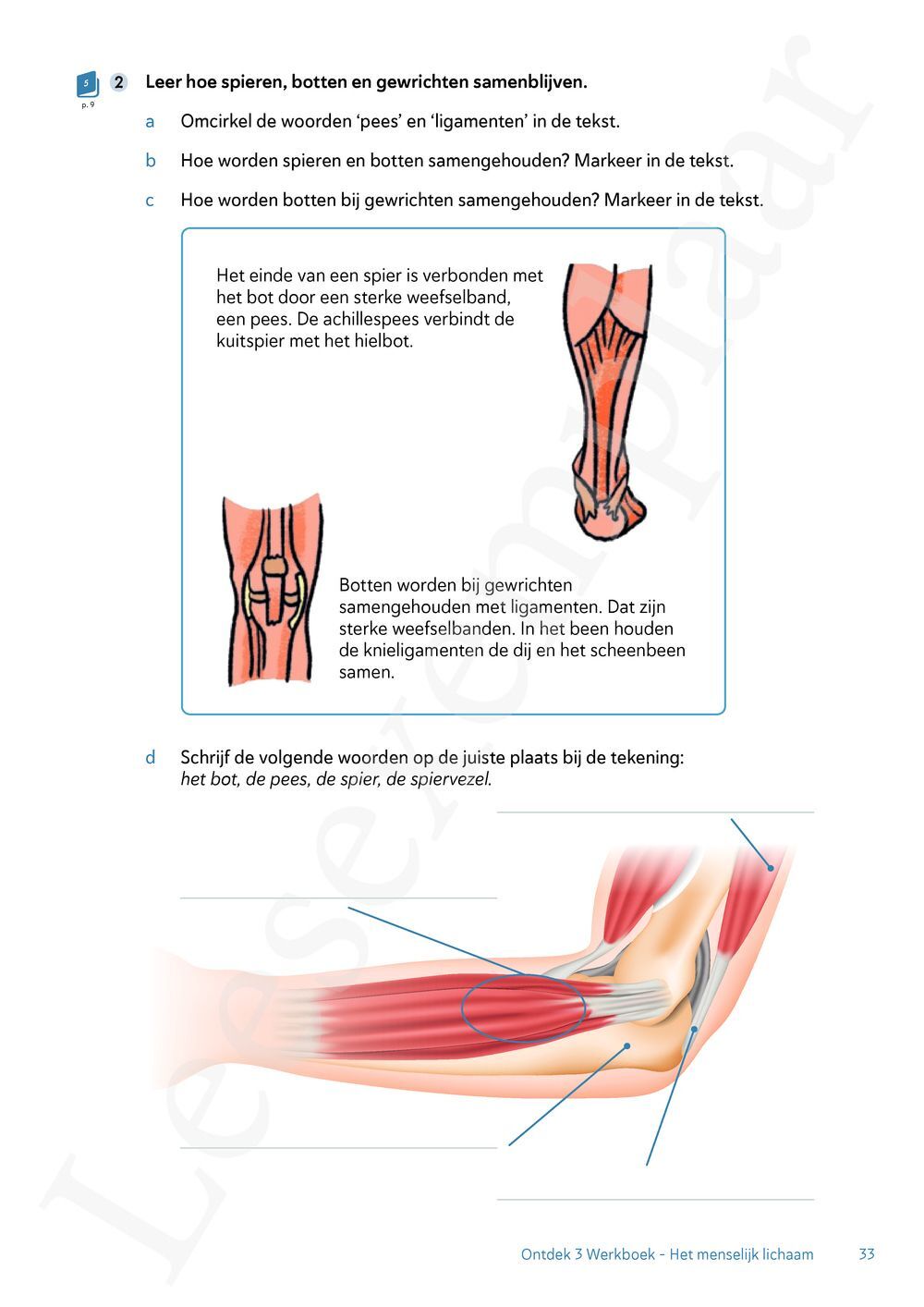 Preview: Ontdek tweede graad wetenschappen en techniek Bronnenboek