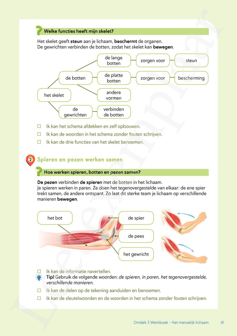 Preview: Ontdek tweede graad wetenschappen en techniek Bronnenboek