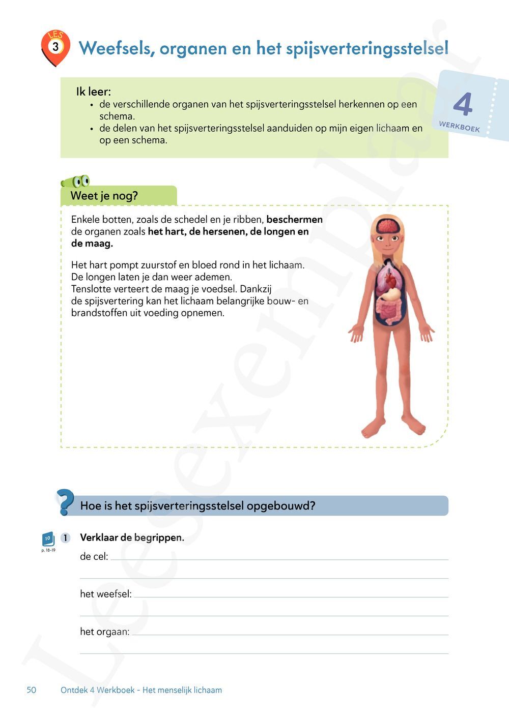 Preview: Ontdek tweede graad wetenschappen en techniek Bronnenboek