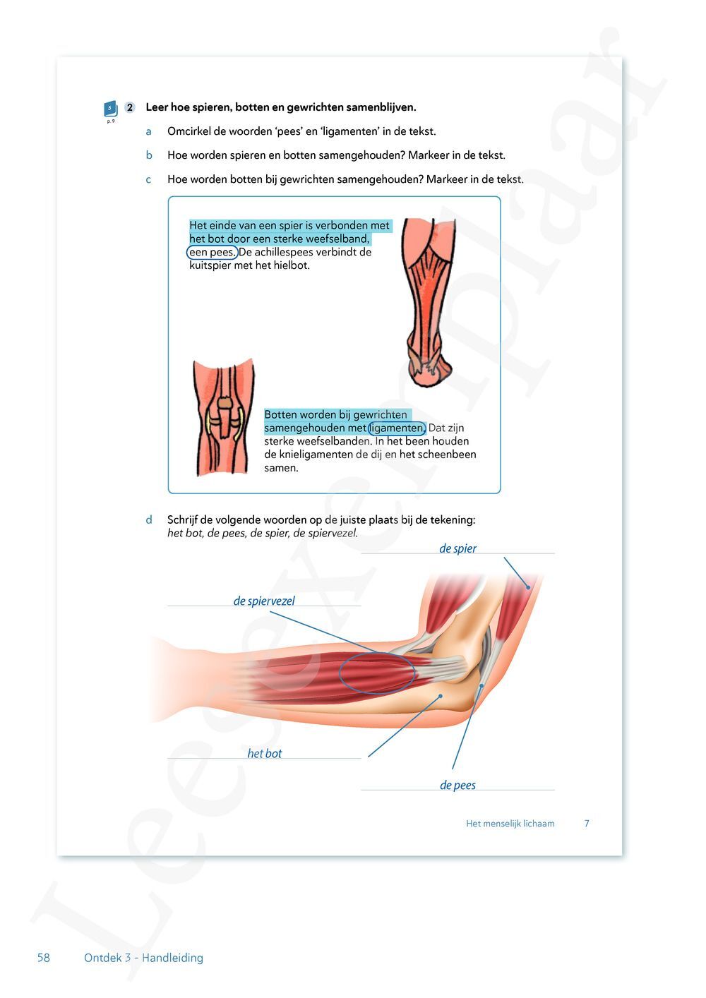 Preview: Ontdek tweede graad wetenschappen en techniek Bronnenboek