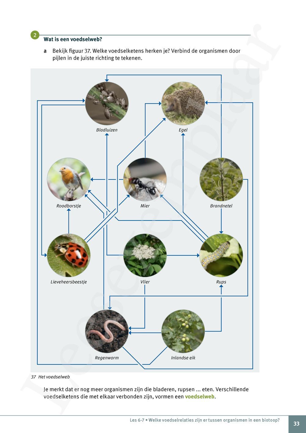 Explo 1 Leerwerkboek (incl. Pelckmans Portaal) – Natuurwetenschappen ...