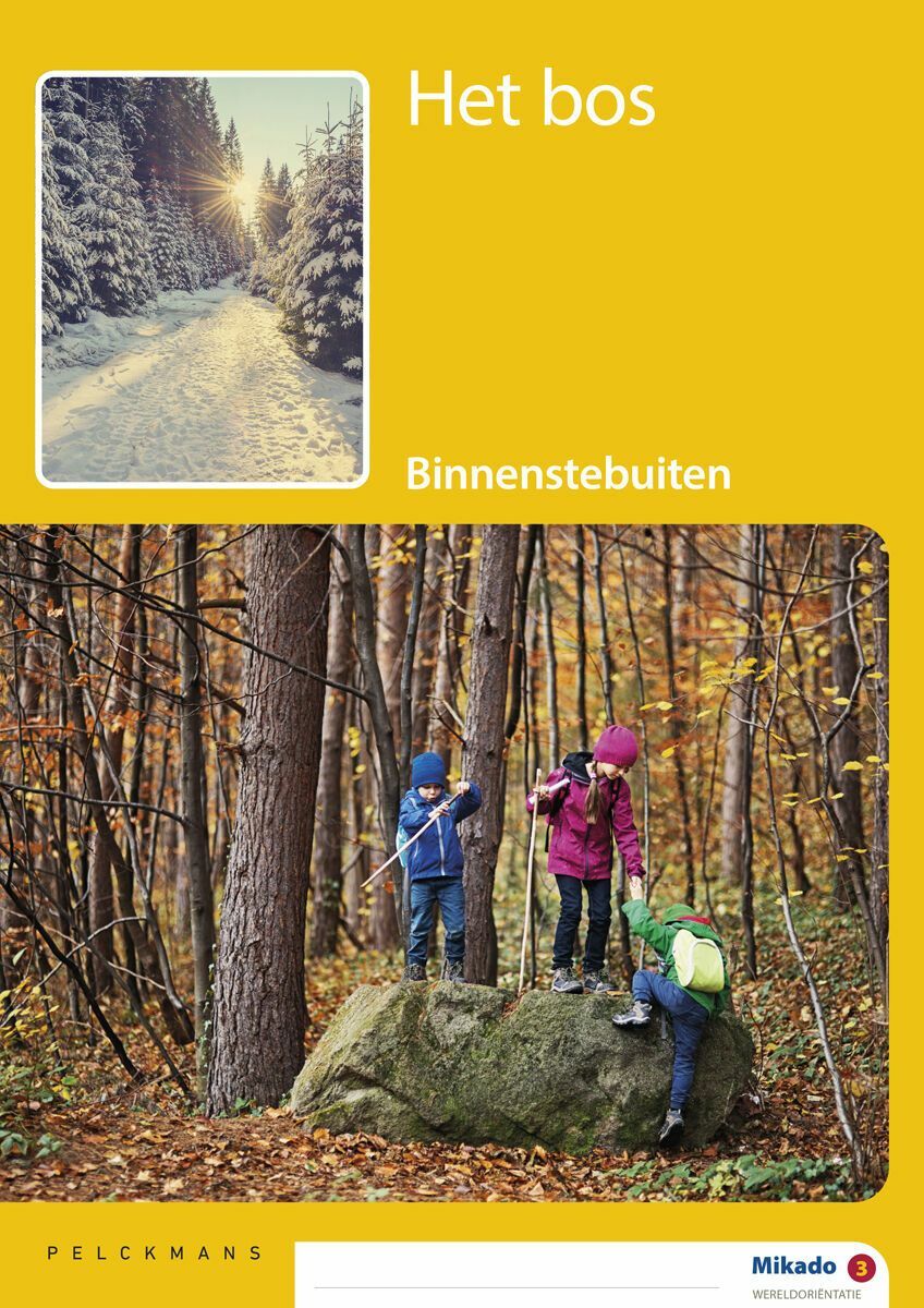 Mikado 3 Thema Het bos